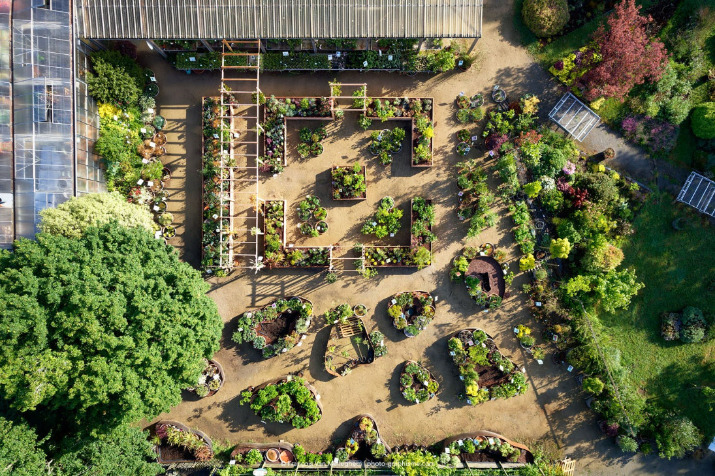 🌺 Encore des nouveautés au potager et en fleurs ! 1 le jardin de balgan prend de la hauteur